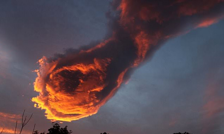 Handofgod28012016Portugal