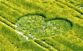 heartcropcircle3