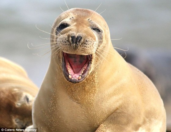 2D51F96200000578-3269185-image-m-2_1444687407962