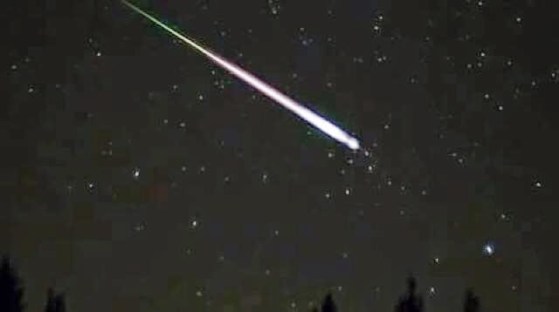 bluelightsnz11feb2015