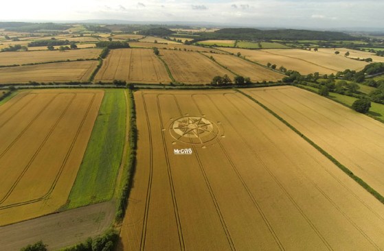 cc003Hoo Mill, nr Haselor, Warwickshire. Reported 19th July.