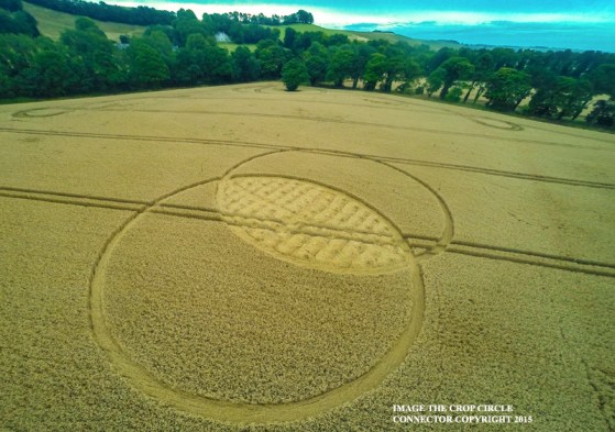 ccFox Hill, nr Liddington, Wiltshire, United Kingdom. Reported 9th August.G004090675bbb