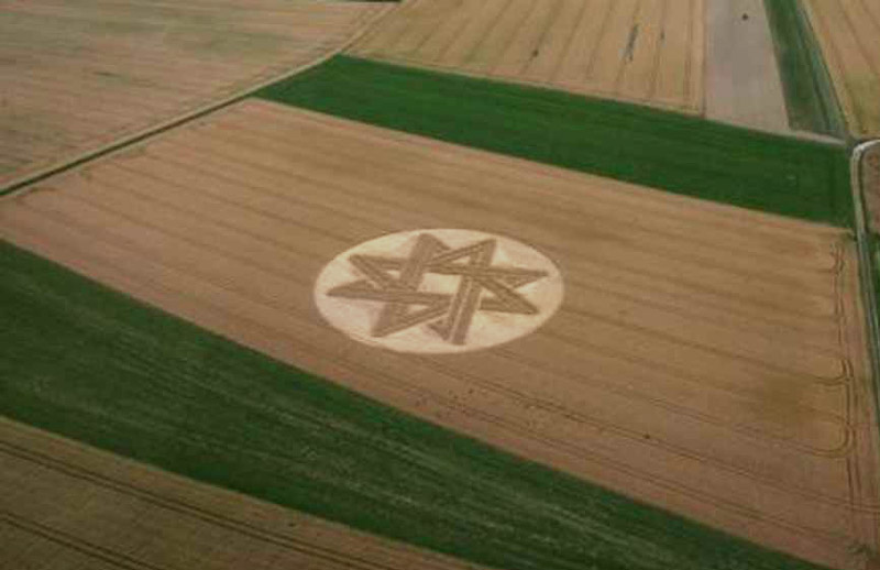 ccjuly2015Münchener Berg, Fürstenfeldbruck, Bavaria, Germany. Reported 16th July.