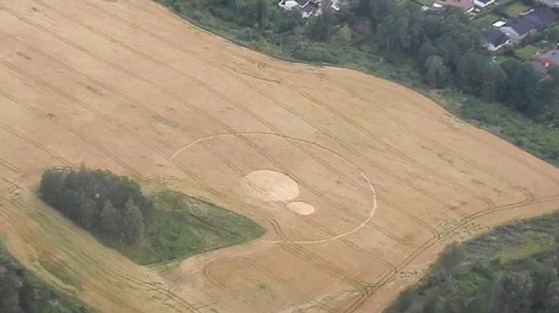 ccKrom Farm, Vestby, County of Akershus, Norway. Reported 9th August.2015.08.09.Vestby