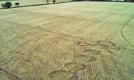 cropcircle Chicoana Salta province. Argentina. Reported 1st November.