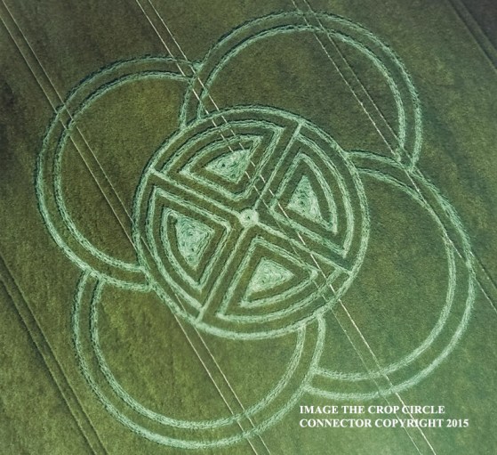 foxgrounddown7A31052015