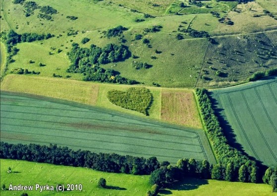 heartcropcircle2010Oare