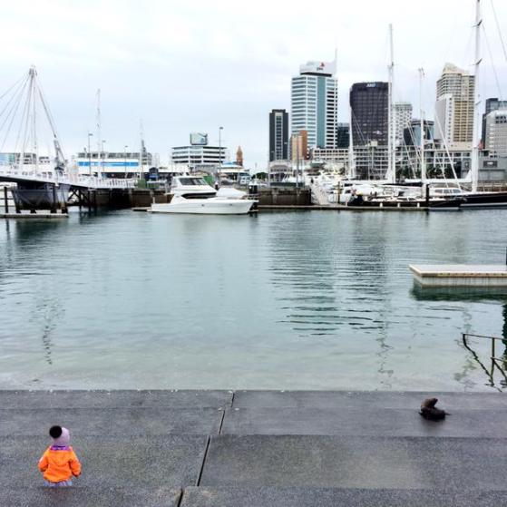 seal2ndsetnumber625thaugust2015CNNVAVEUwAACB0I