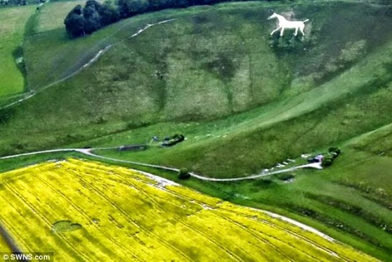 The white hordse heartcropcircle