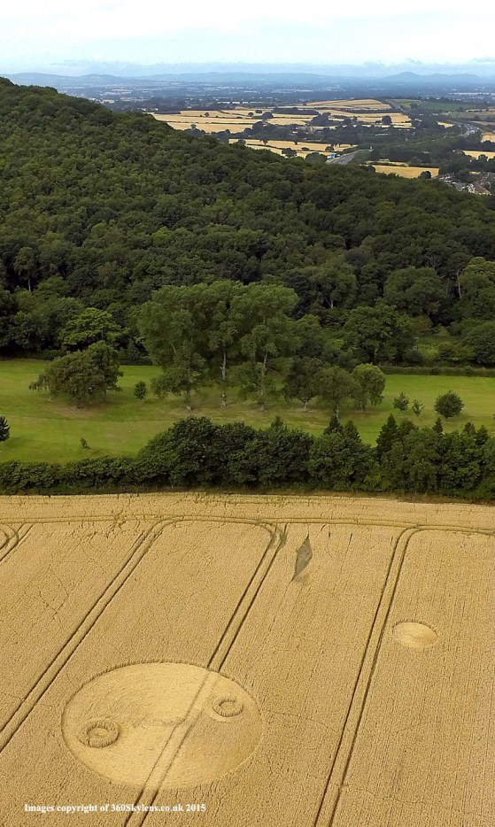 Wellington-Crop-Circle-2