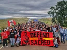 Image result for dakota protest